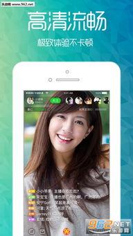 娱乐吃瓜直播页面,娱乐吃瓜，带你领略网络红人魅力