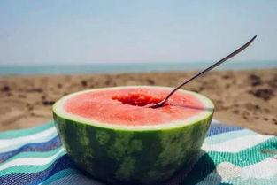 娱乐吃瓜教,吃瓜群众教你如何成为行走的八卦达人